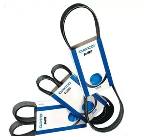 R210808-DC, Ремінь 2110-8PK (8PK2110HD/R502417/743910/761979/3099261/3289875/3289963/3963771), JD (DAYCO) R210808-DC, Ремінь 2110-8PK (8PK2110HD/R502417/743910/761979/3099261/3289875/3289963/3963771), JD (DAYCO)