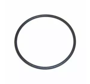 8097764, Кільце ущільнювальне ТНВД, Iveco Cursor9, Case, New Holland 8097764, Кільце ущільнювальне ТНВД, Iveco Cursor9, Case, New Holland