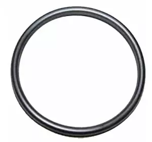 42549209, Кольцо уплотн. насоса топл., T7060/Puma210 42549209, Кольцо уплотн. насоса топл., T7060/Puma210