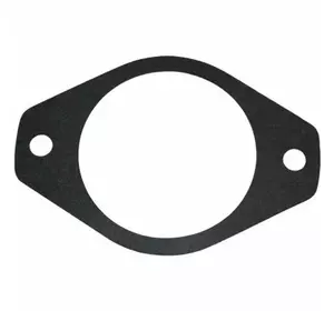 144169C2, Прокладка гидронасоса (J919601), 7240/MX270 144169C2, Прокладка гидронасоса (J919601), 7240/MX270