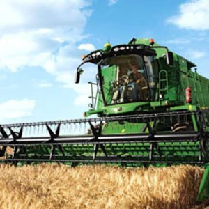 Зернові Зернові