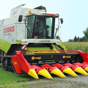 Кукурудзяні Кукурудзяні